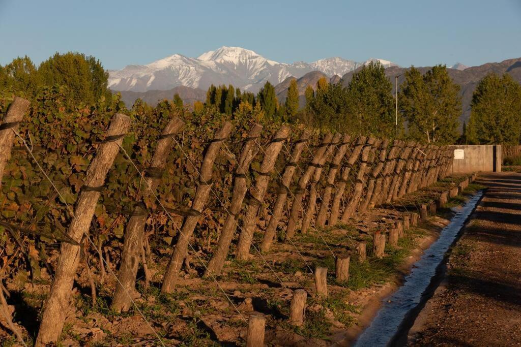 Las Compuertas Bodega Durigutti Family Winemakers 빌라 외부 사진